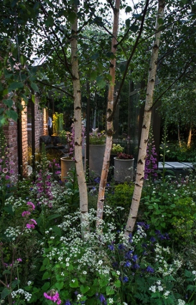 Lighting in a woodland garden beside a rill running around the edge of a conservatory