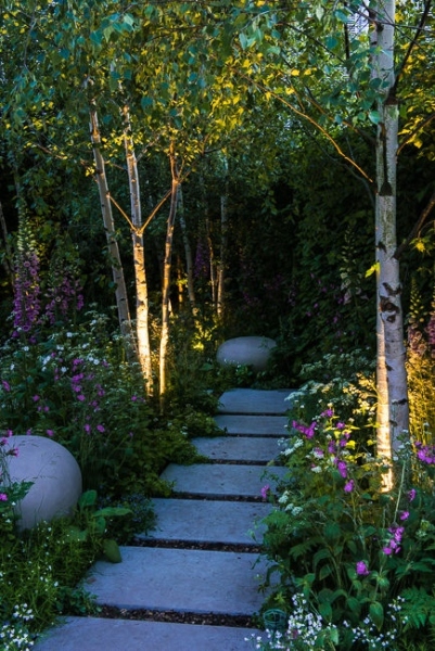 Lighting in a woodland garden beside a pathway