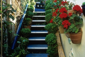 A Seaside Garden in Newhaven