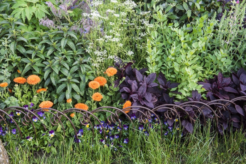 Herb garden