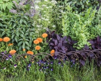 Herb garden