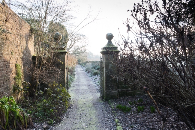 Long border 'Paradise Walk',  in winter