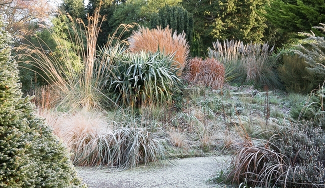 The grassy knoll at Borde Hill garden