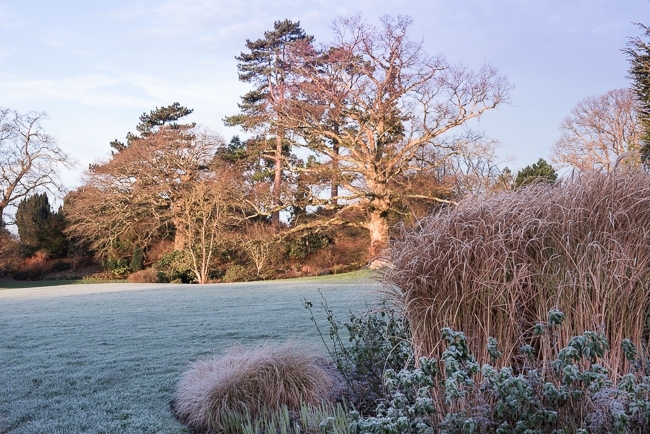 The south lawn viewed from the mid summer border in winter