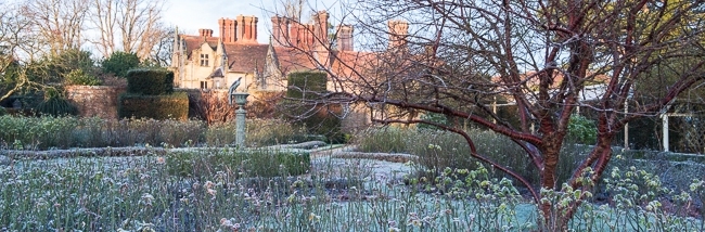 The rose garden in winter
