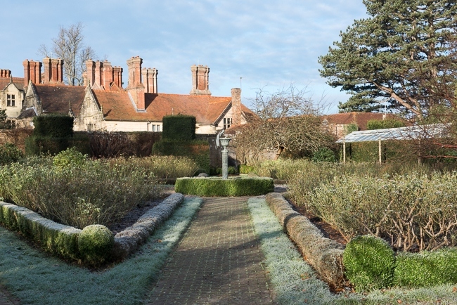 The rose garden in winter