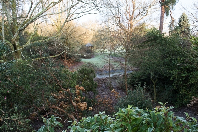 The Garden of Allah  in winter at Borde Hill