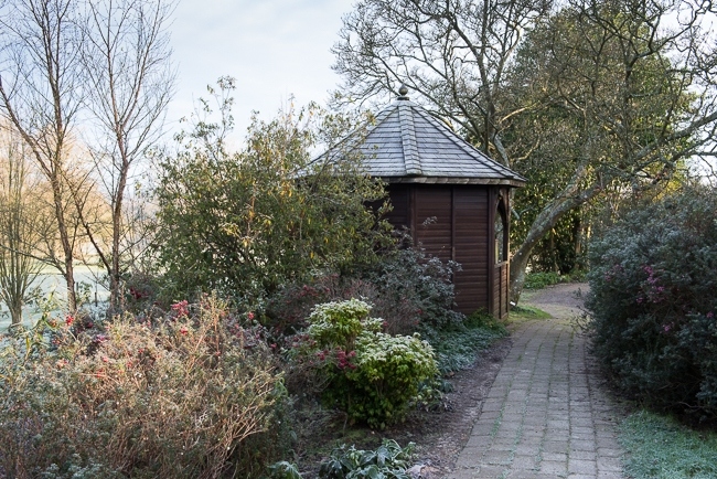 Becky's Bower at Borde Hill