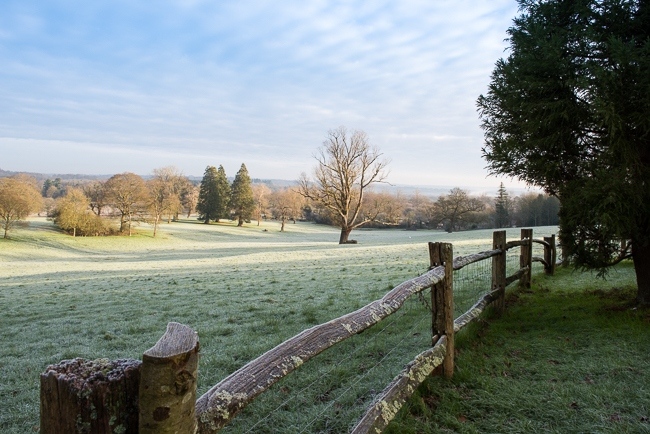 View over the South Park at Borde Hill