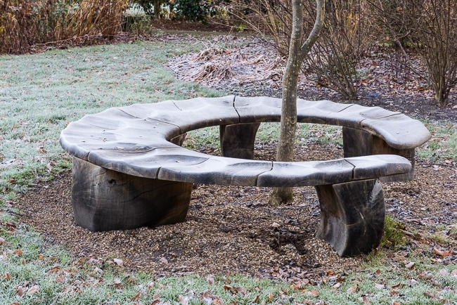 Bench seat around the base of a young tree