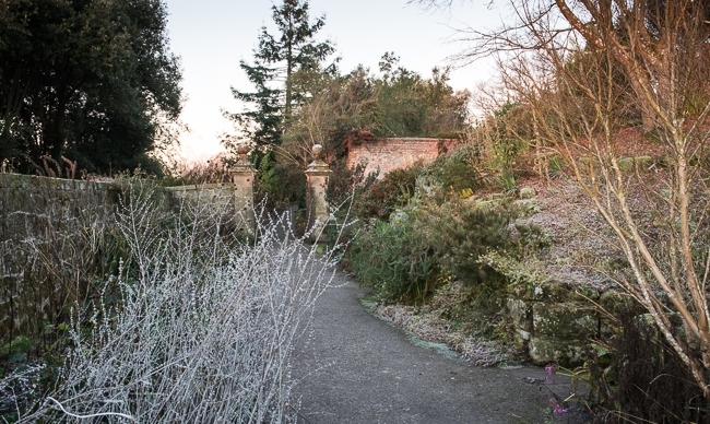 The long walk in winter