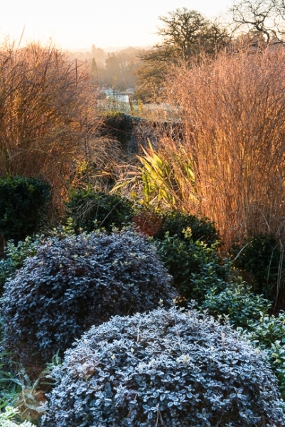 Lower end of the Italianate garden overlooking open countryside