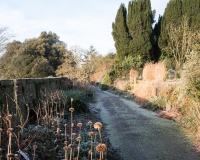 Long border 'Paradise Walk',  in winter