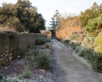Long border 'Paradise Walk',  in winter