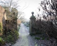 Long border 'Paradise Walk',  in winter