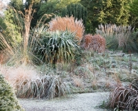 The grassy knoll at Borde Hill garden