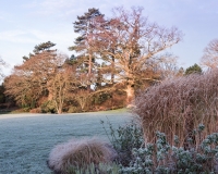 The south lawn viewed from the mid summer border in winter