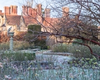 The rose garden in winter