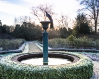 The fountain in the rose garden