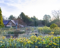 The rose garden in winter