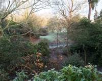 The Garden of Allah  in winter at Borde Hill