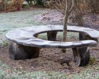 Bench seat around the base of a young tree