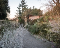 The long walk in winter