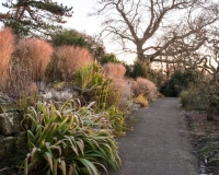 The long walk in winter