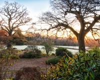 View out over the South lawn from woodland