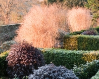 Lower end of the Italianate garden overlooking open countryside
