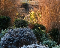 Lower end of the Italianate garden overlooking open countryside