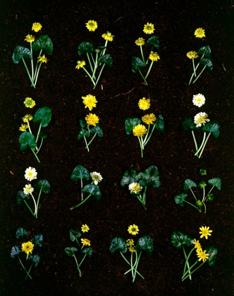 1974