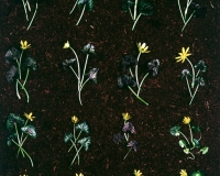 1975