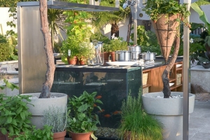 Container grown Fruit veg herbs
