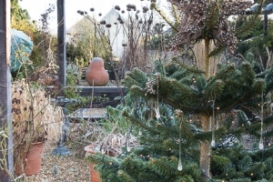 Elmbridge Lodge – Winter