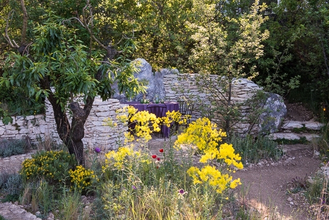 A mediterranean style garden