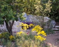 A mediterranean style garden