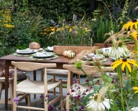 Contemporary edible garden with raised beds containing vegetables, herbs and perennials