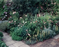 1965