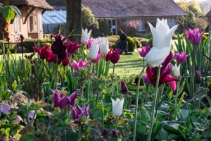 Kentish Country Garden