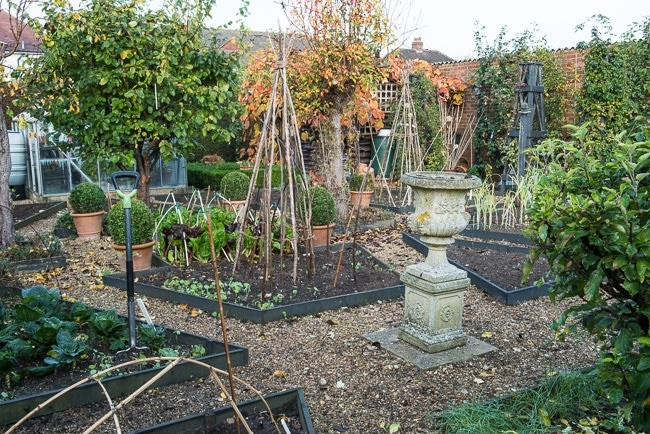 Vegetable garden in autumn