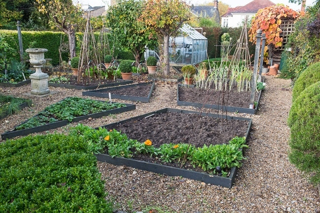 Vegetable garden in autumn