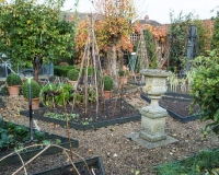 Vegetable garden in autumn