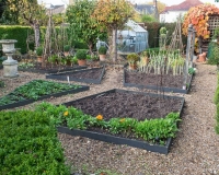 Vegetable garden in autumn