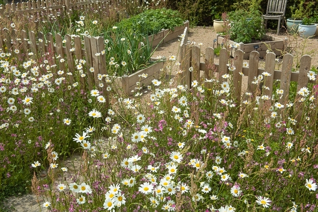 38452