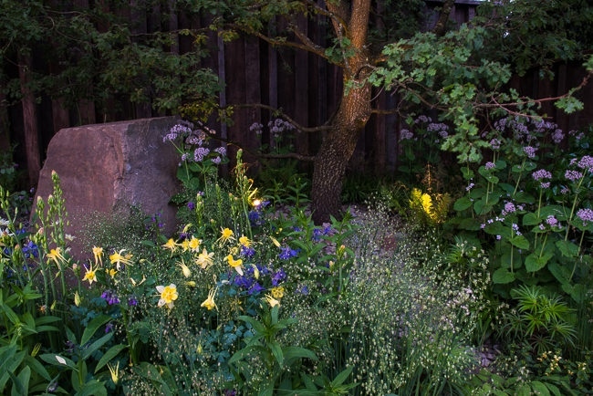 Lighting in a woodland garden