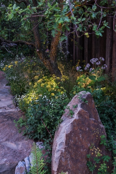 Lighting in a woodland garden
