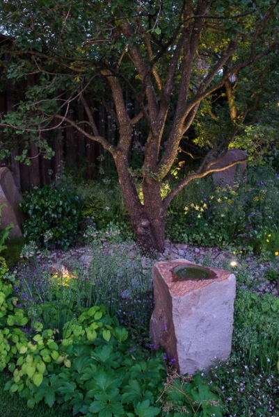 Lighting in a woodland garden