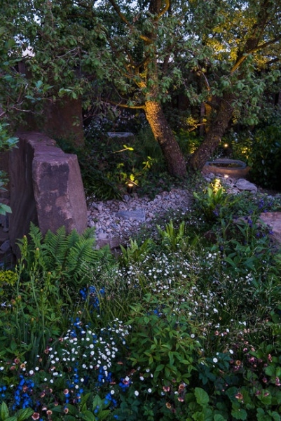 Lighting in a woodland garden