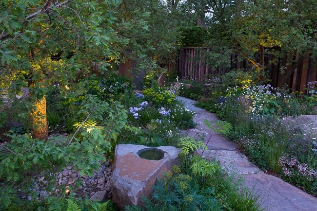 Lighting in a woodland garden